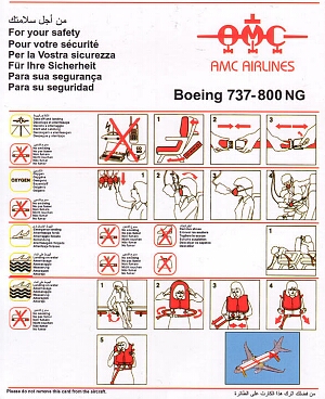 amc airlines boeing 737-800ng 2.jpg